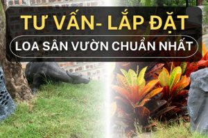 loa sân vườn kasen